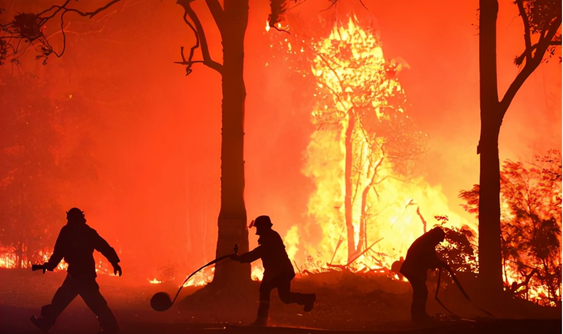 澳大利亚山火再次燃烧,火势已难以扑灭,祸根是4万年前留下的