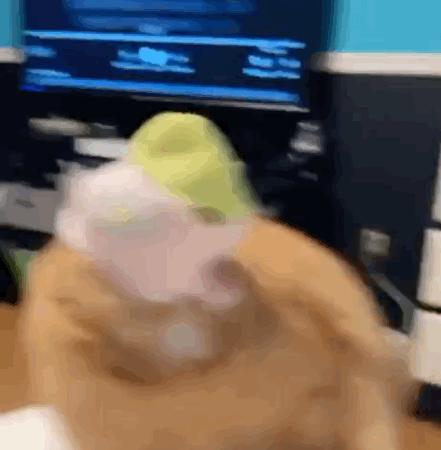 lv原单真的跟正品没差吗,有必要买正品lv吗