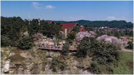 到大珠山赴一场春天之约,铁山坪铜锣峡攻略