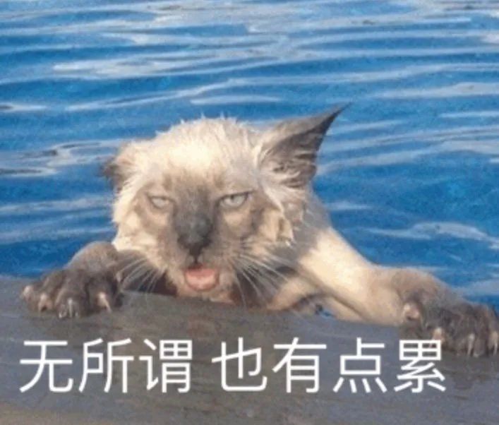 狗子掉毛红色,狗子掉毛皮肤发红是怎么回事