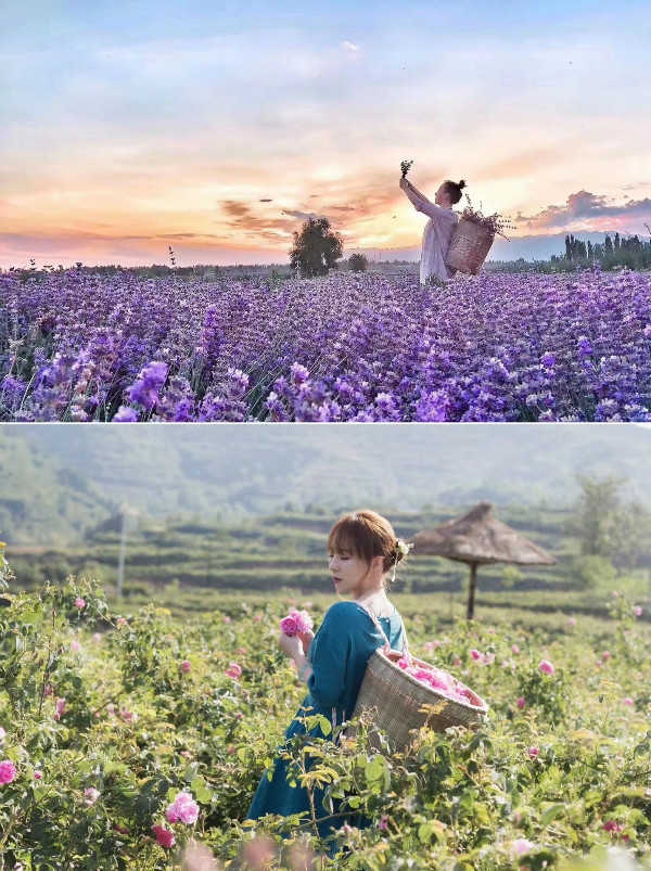 董欣可以吃吗,董欣天然护肤品店门票