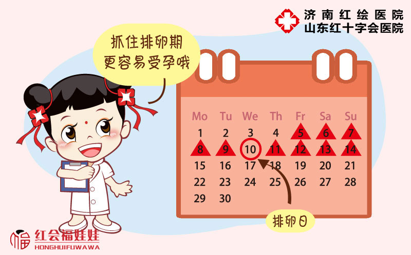 排卵期有哪些不适的症状,排卵浑身不适