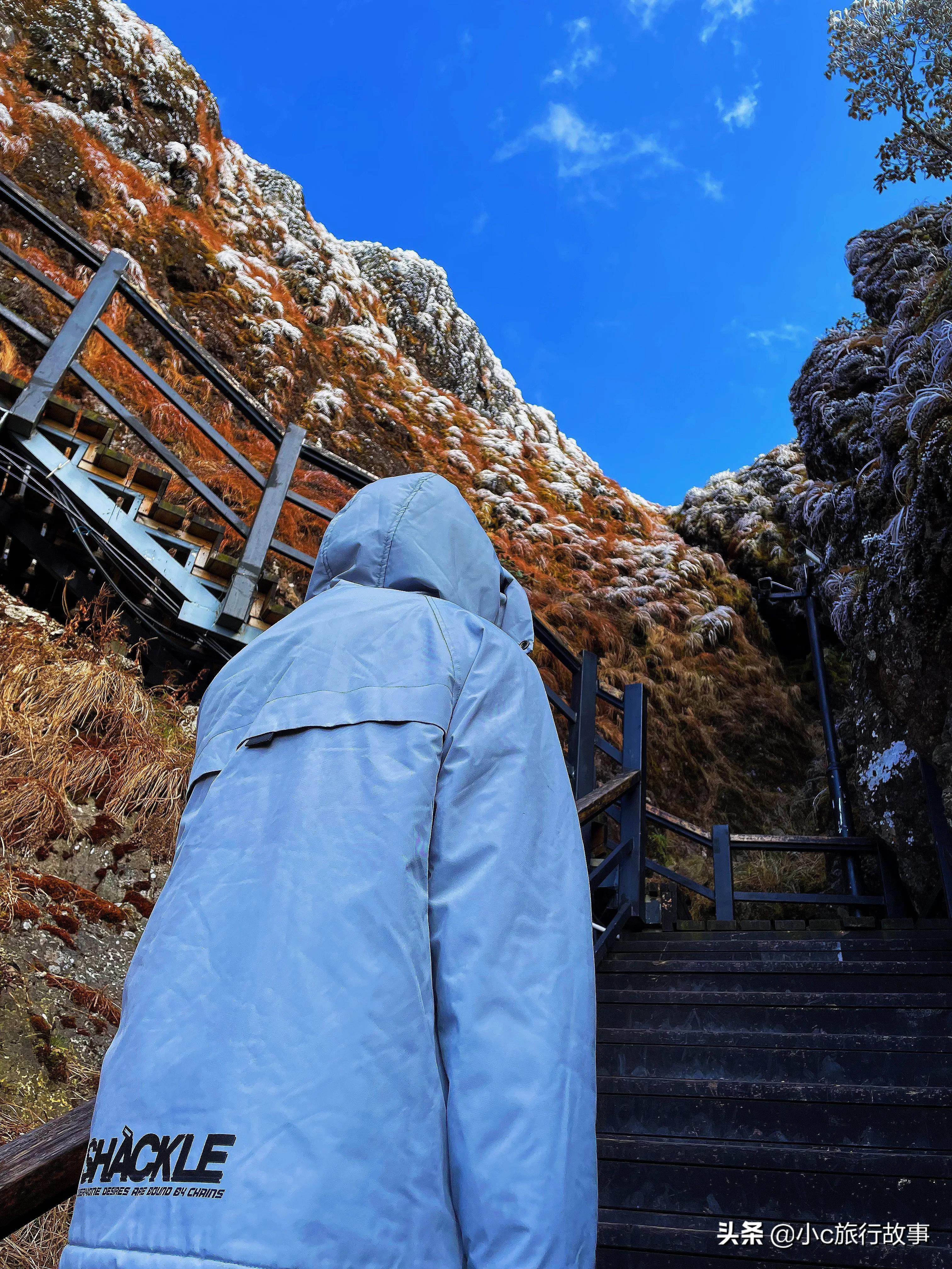 昆明轿子雪山景点春节开放吗,昆明附近旅游景点推荐轿子雪山