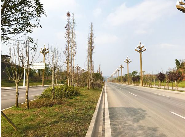 南充金融大道延长线最新消息,南充金融大道最新消息