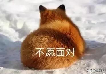 害怕镜头的人如何拍照,害怕镜头这些拍照方式瞬间拯救你