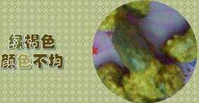 宝宝腹泻消化不良吃什么辅食,婴儿吃辅食后消化不良引起的腹泻