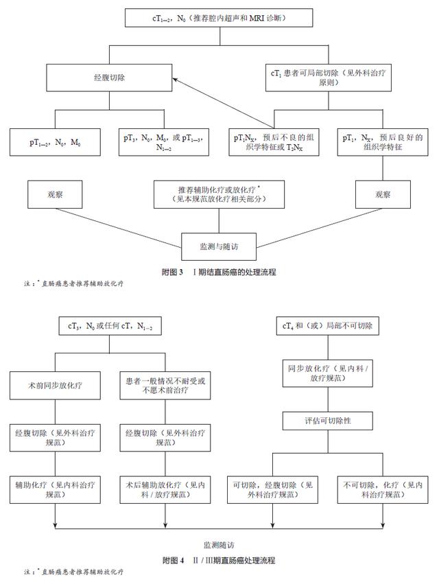 中国结直肠癌诊疗规范(2017年版)
