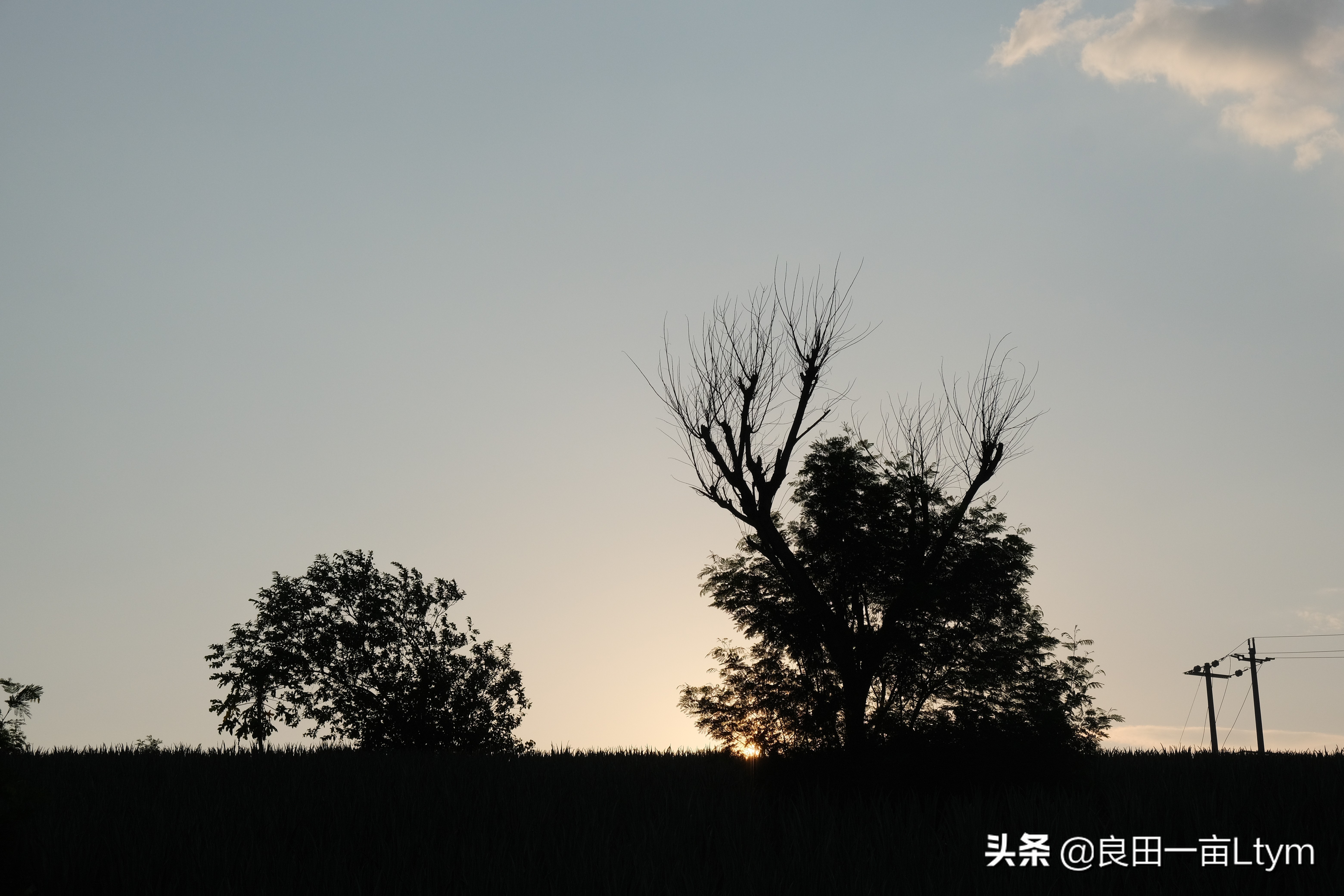 “活着的芦荟护肤品”，你来云南元江看一次芦荟海就够了