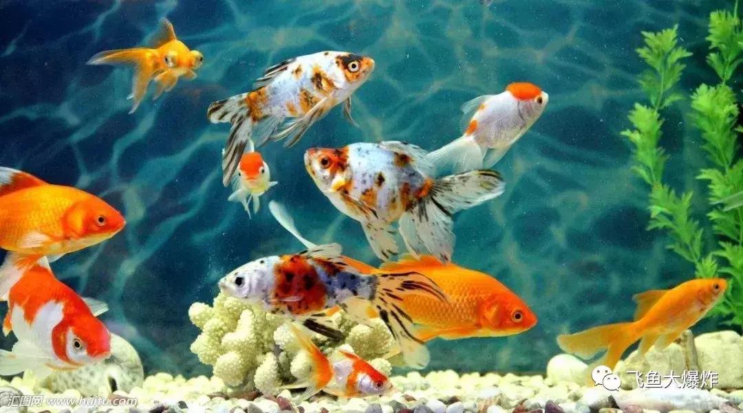 臭氧除菌,你用过吗?