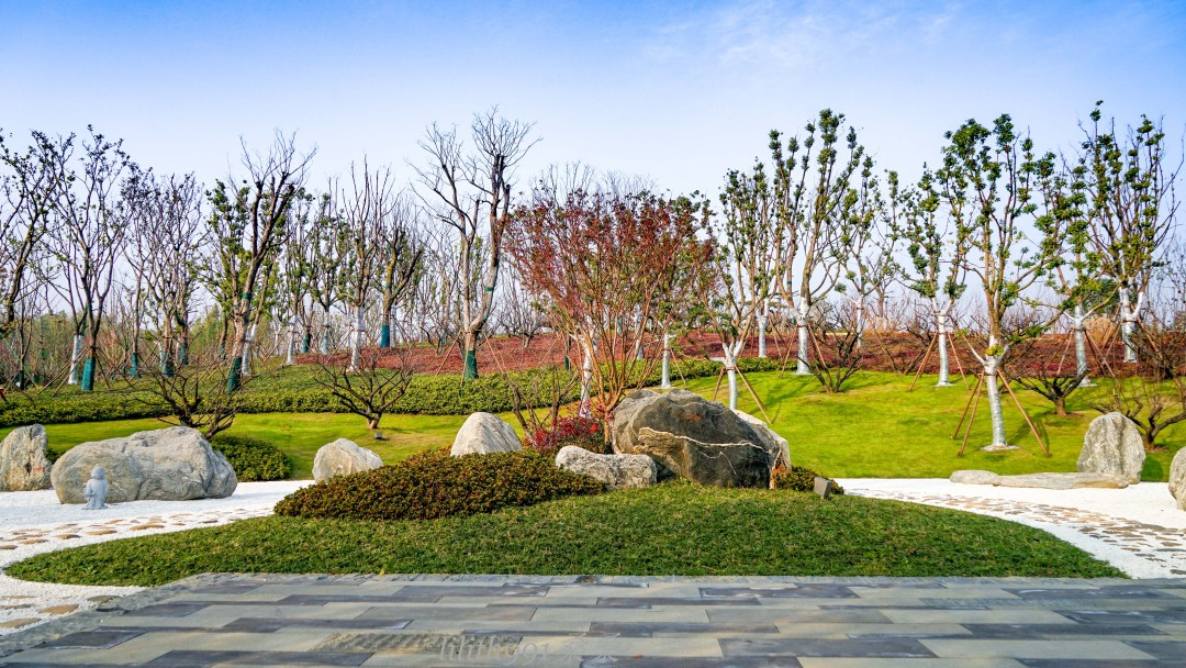 佛顶牛首山旅游攻略,牛首山佛顶宫和佛光山