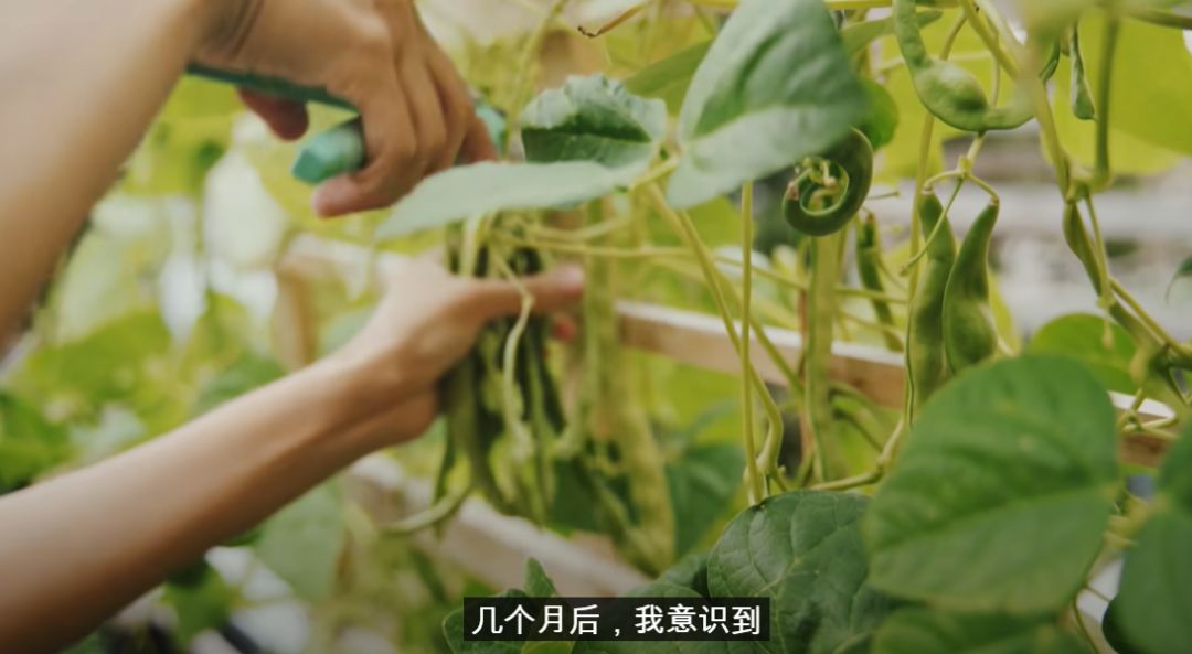 李子柒靠海外视频月入80万,德国版李子柒