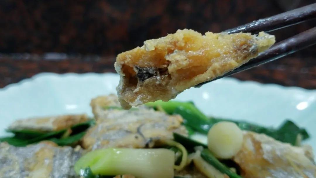 带鱼为什么成为中国最平民的海鲜,真正深海里的带鱼