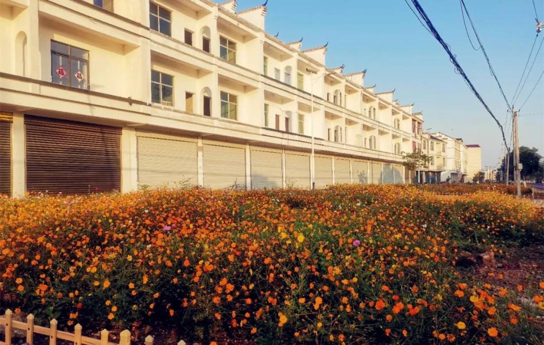 鄱湖之滨鱼米之乡,江西鄱阳湖