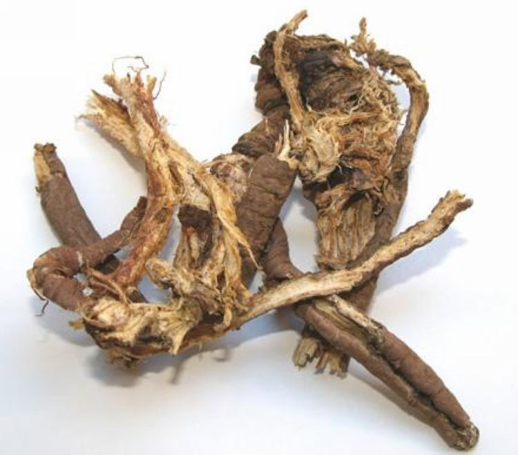 白云花根的功效作用,中草药白云花功效