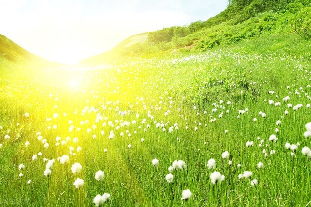 中国最后一位女先生生平介绍,中国最后一位远离世俗的老人