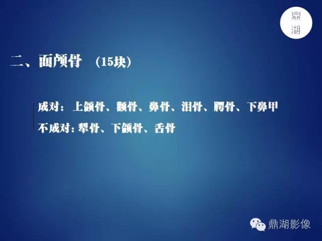 人体神经系统完整解剖图,超全神经系统解剖图近乎完美