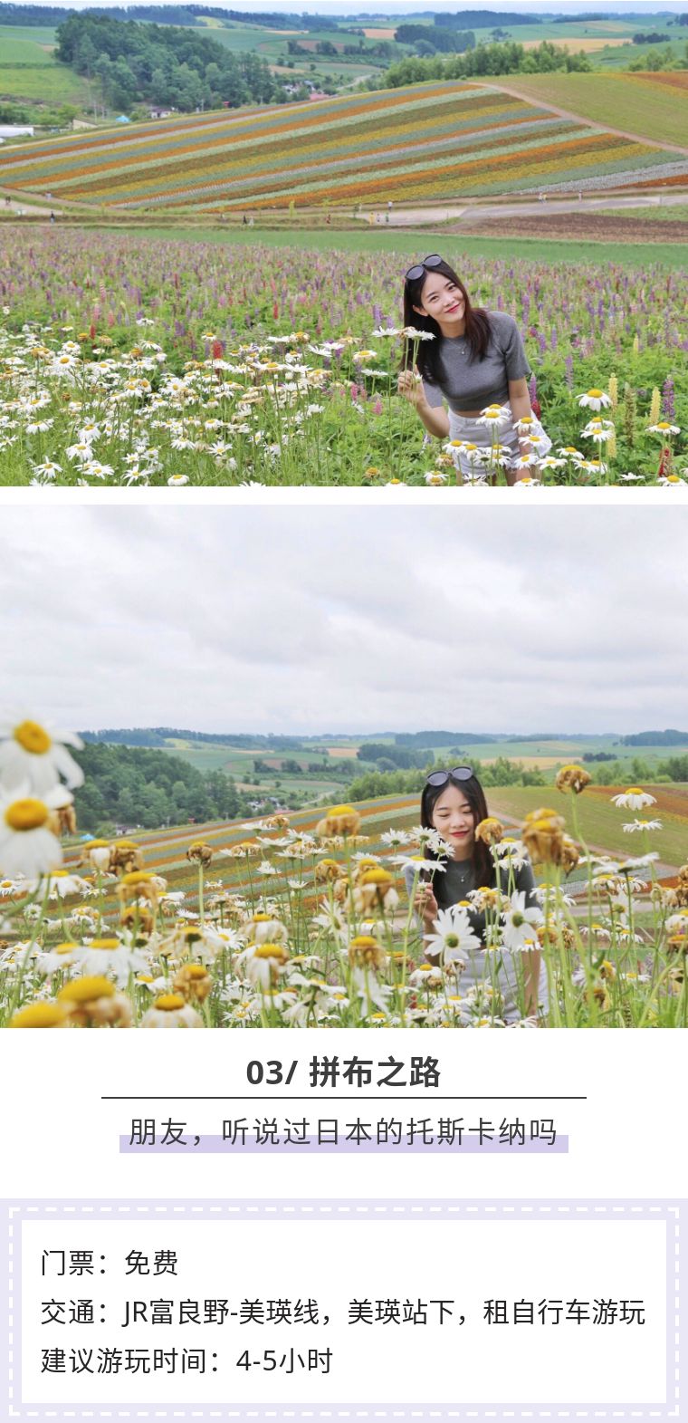 北海道七月的样子,北海道7月