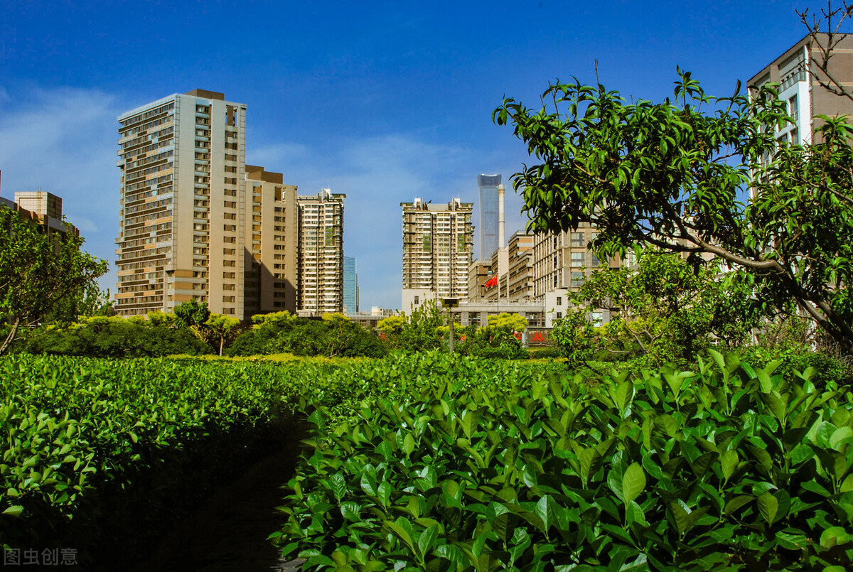城市更新让居民生活更美好,让市民感受到城市更新带来的活力