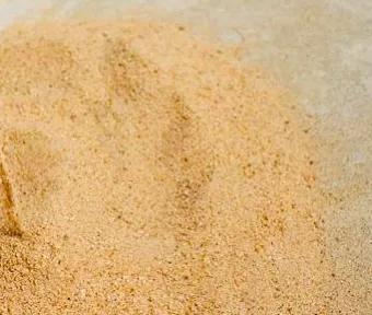 月季扦插黑杆的原因和解决方法,月季是扦插好存活还是压枝好存活