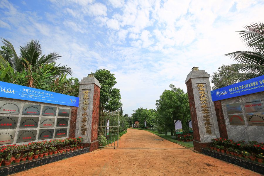 海南黄金百香果纯甜无酸,冰淇淋果图片和营养价值