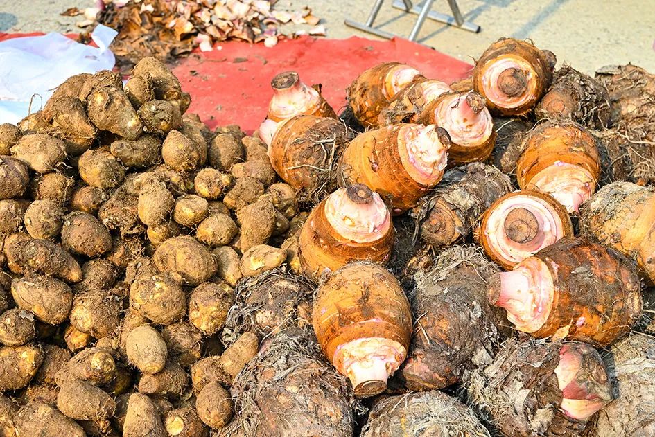 满满的烟火气逛大集真好玩,最值得逛的大集