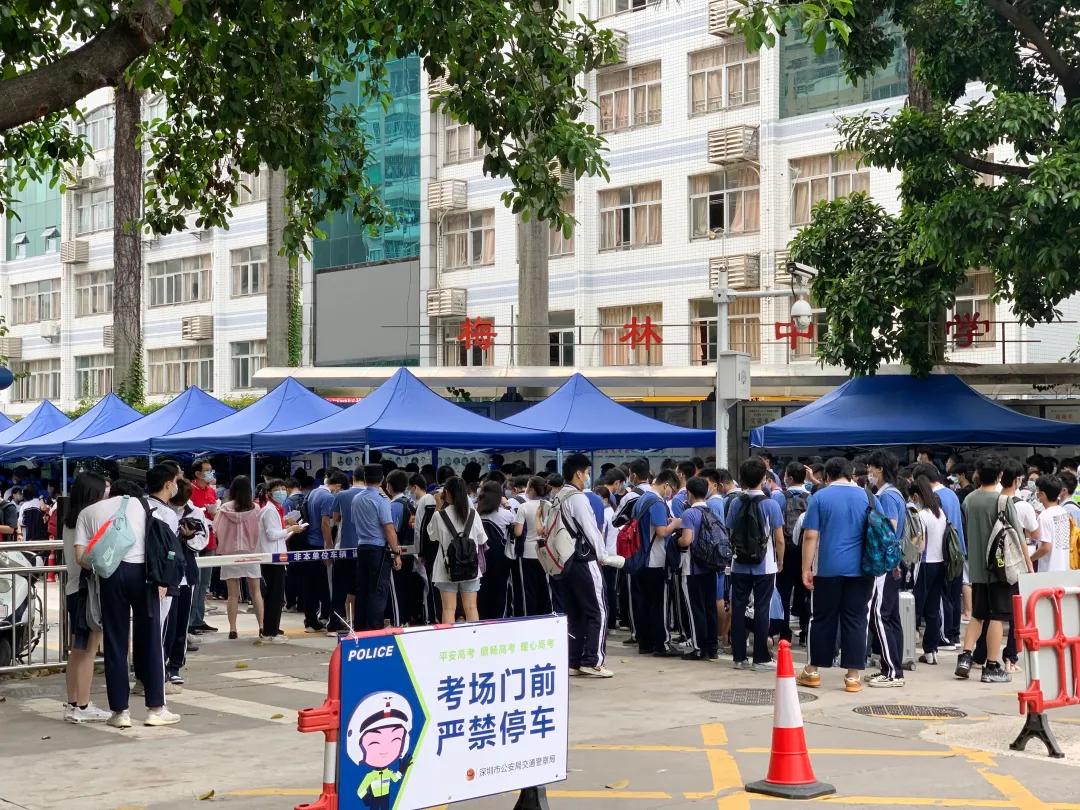 萌娃、萌宠纷纷抢镜！今年高考作文，深圳学生躺赢？