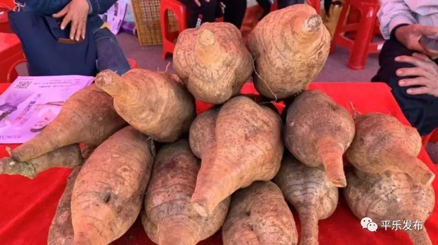 桂林平乐美食攻略,广西桂林平乐县特色美食