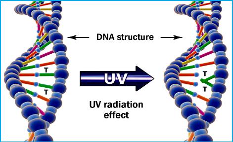 25只科创板股票发行价,科创板超募和高价发行