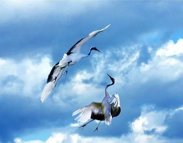 为了开出一张有质量的处方，得背背这个