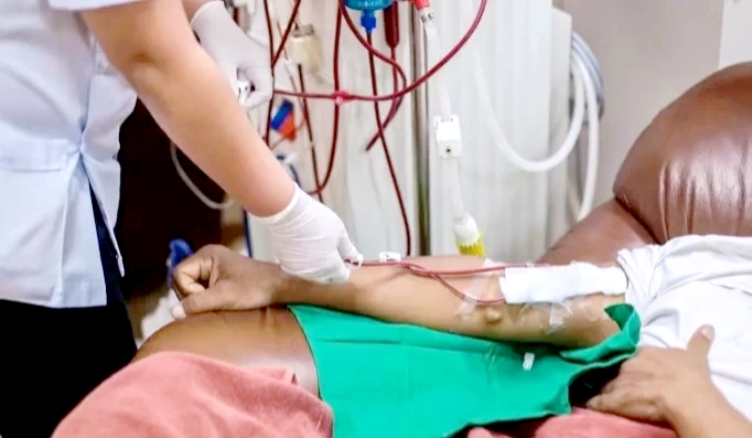 十大降肌酐蔬菜,降肌酐的特效药