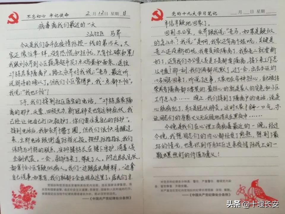 我是一颗小小的石头，深深地埋在网格之中