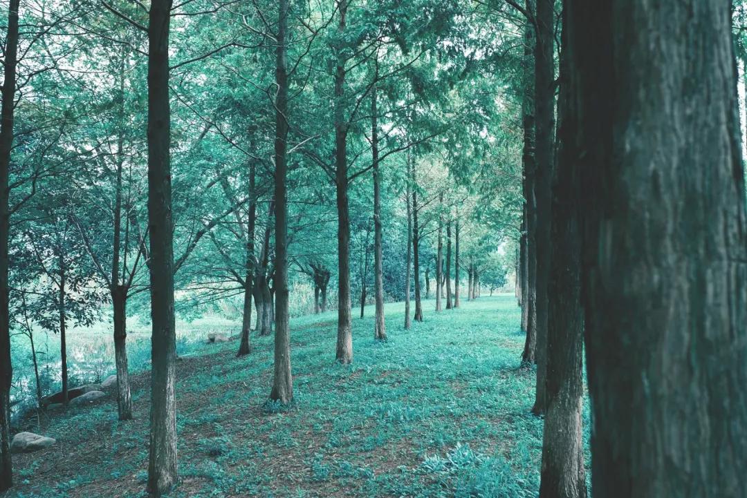 东钱湖为何叫东钱湖,东钱湖是不是人造湖