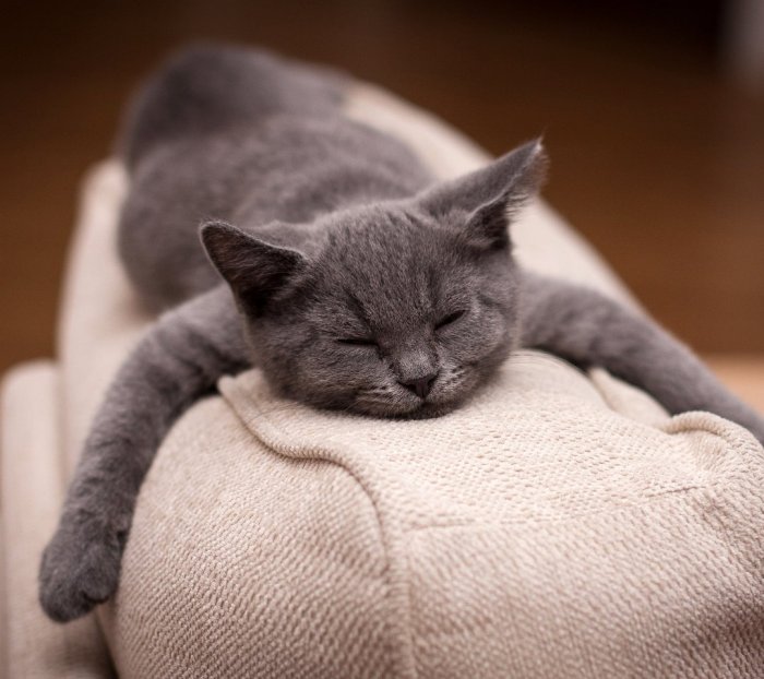 男人总是数落你,一个人老是指责你怎么办