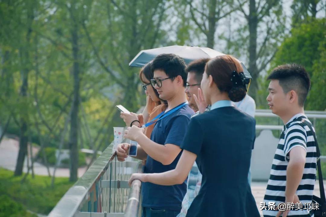 成都东进区未来之城,品味成都