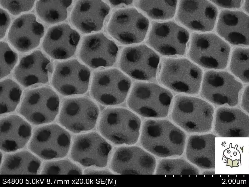 终局之战！！“光影化境”悦昌行杯摄影大赛复赛等你投票~