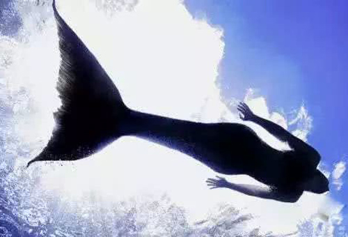 辽宁营口这个区为什么叫鲅鱼圈,营口和鲅鱼圈有什么区别