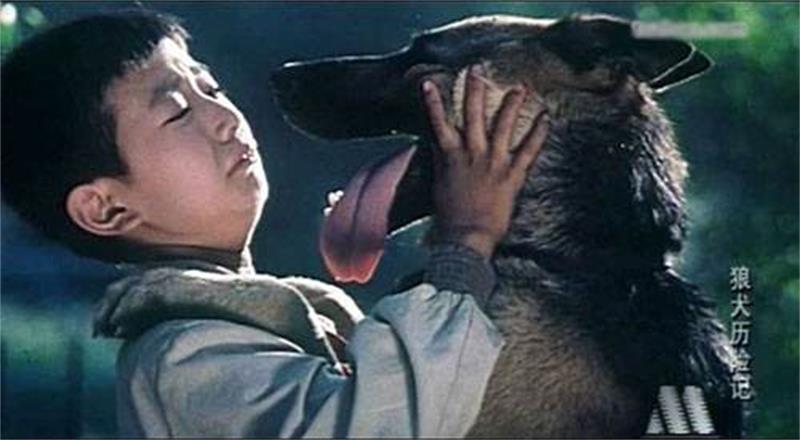 80年代电影狼牙公主,狼牙公主电影叫什么