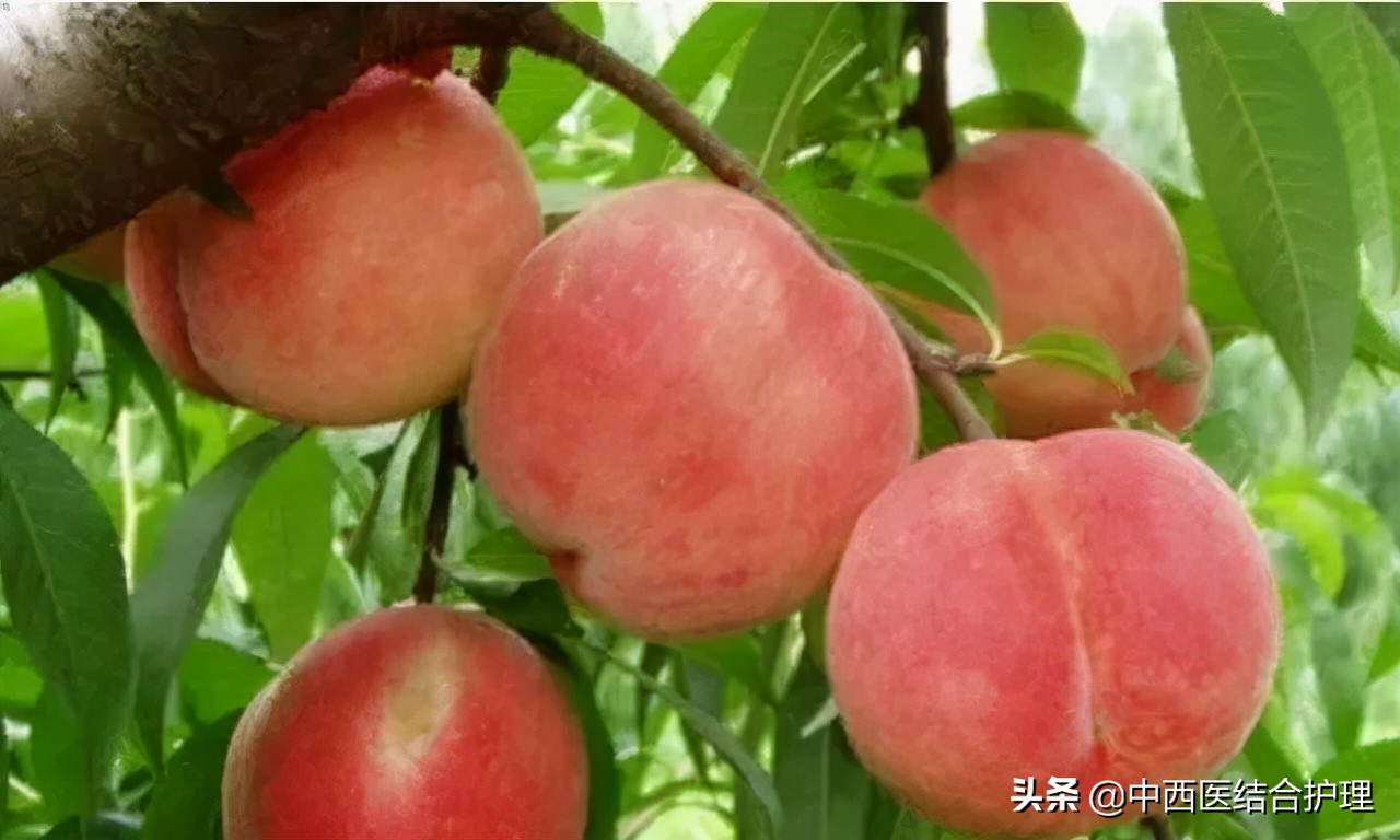 吃桃子不能吃三种食物,吃完桃子不宜马上吃的食物