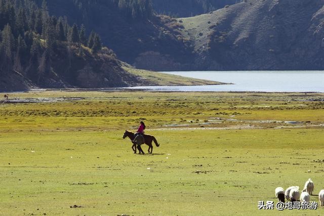 炮哥游记之初涉*疆新**《11》