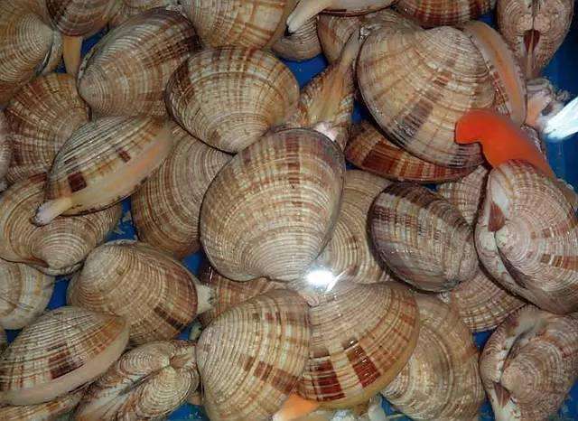 大连长海县海鲜自助,长海县海鲜预订