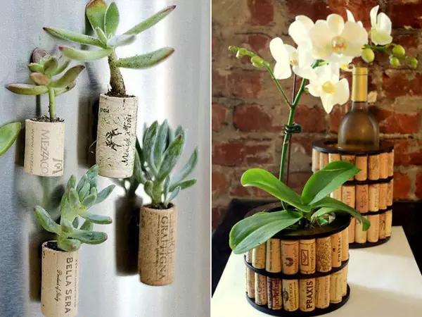 家里花瓶插花放点什么,创意养花花瓶