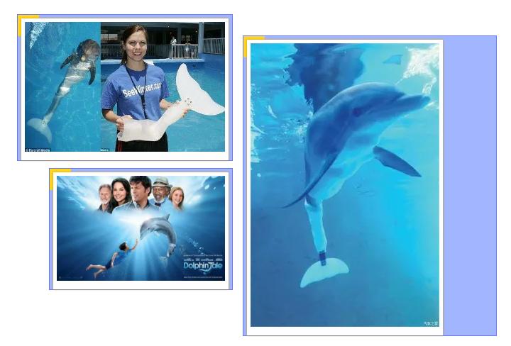 康复工程学习方向,康复工程涉及哪些学科