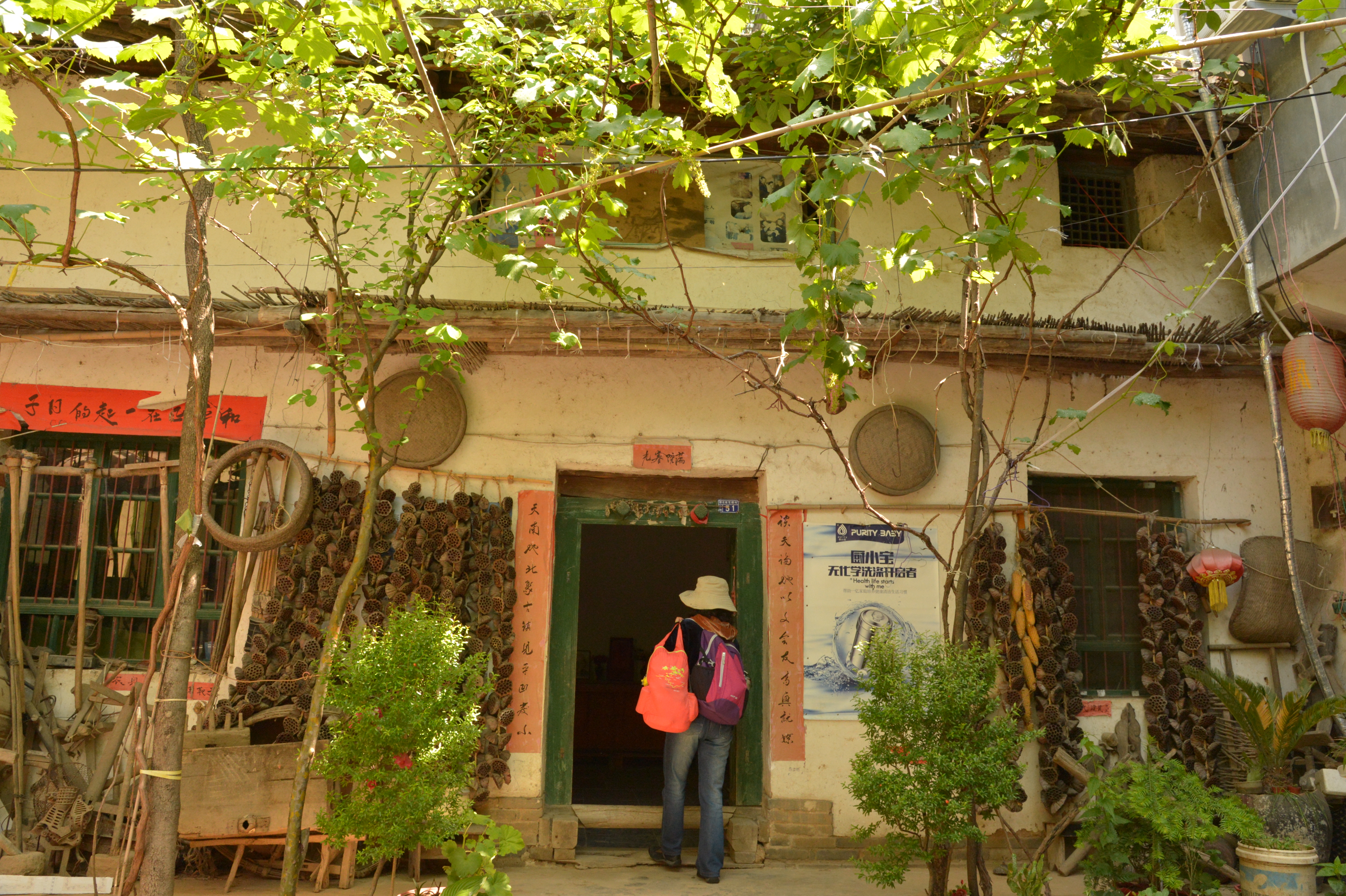 棣花贾平凹,棣花驿