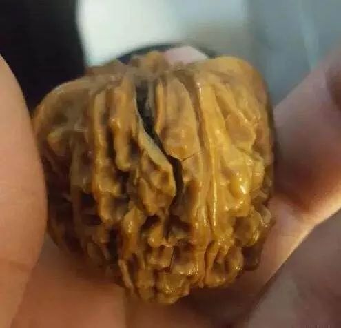 用洗衣机给手串包浆,黄花梨手串被洗衣机洗了