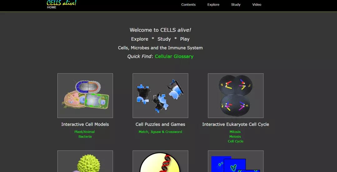 alevel生物课程知识点,alevel大考是什么