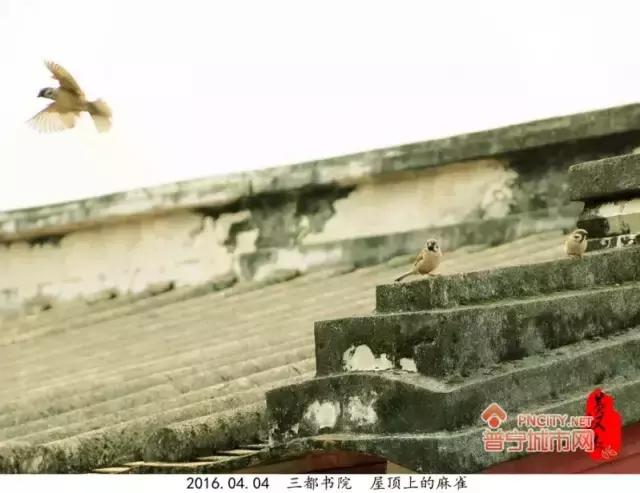 普宁三都中学怎么样,普宁都有哪些学校