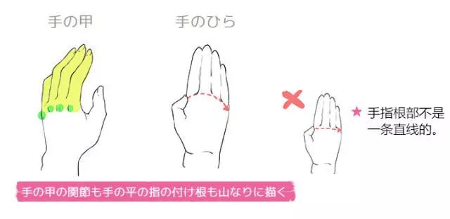 画动漫人物女生的手部教程,动漫人物的手怎么画简单又漂亮