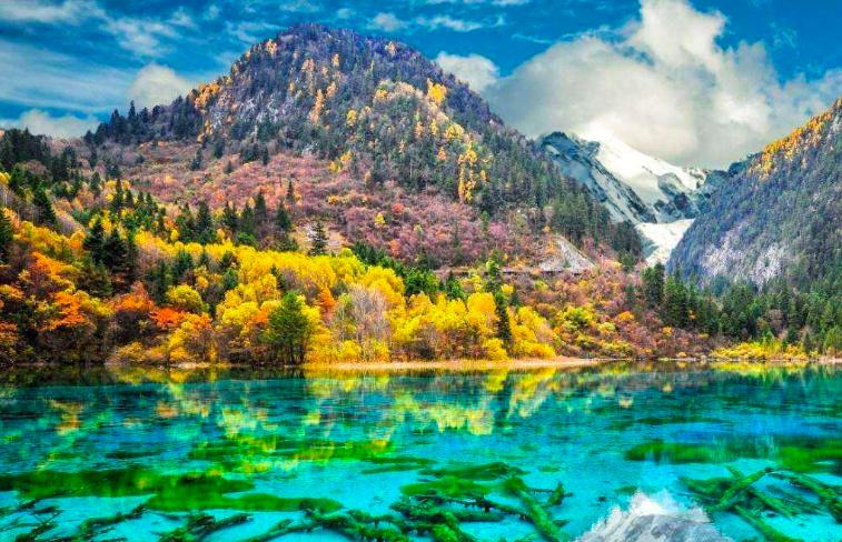 四川旅游路线稻城亚丁,四川旅游攻略九寨沟稻城亚丁