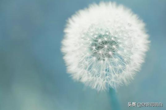 两年回报率5.4%,10年超一倍回报率