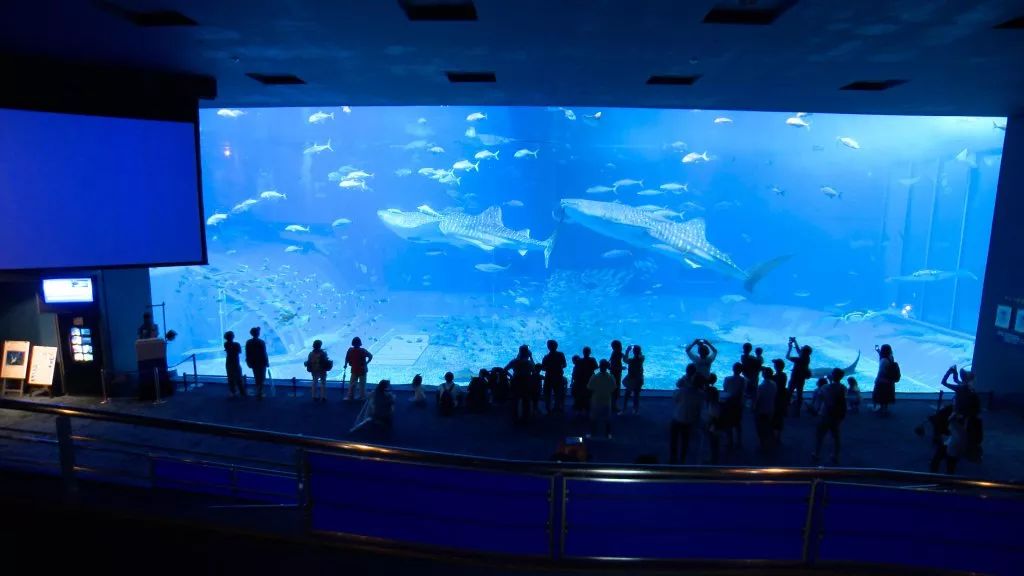 世界十大亲子博物馆,全球十大亲子博物馆